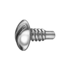 License Plate Screw Slotted Truss Head