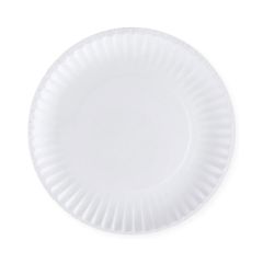 Paper Plate Uncoated White 9" Pk/100