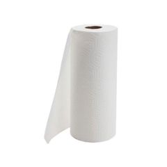 Paper Towel Home Roll Cs/30