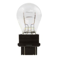 Mini Bulbs Box/10