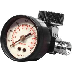 Air Regulator w/ Gauge 1/4"
