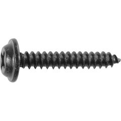 Tapping Screw Phillips Flat Top Bx/ 100