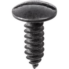 License Plate Screw Slotted Truss Head