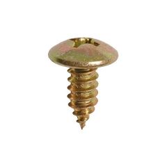 License Plate Screw Phillips Truss Head