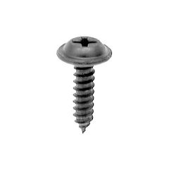 License Plate Screw Phillips Flat Head