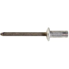 Rivet Gm Door Assembly Bx/25