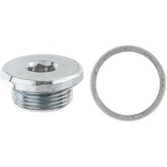 Oil Drain Plug & Gasket Bx/1