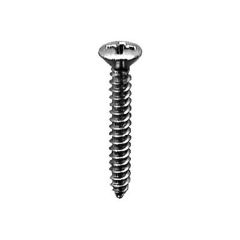 Tapping Screw Phillips Oval Head Bx/100