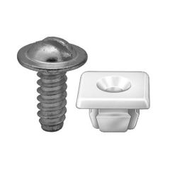 Nut & Screw Assembly