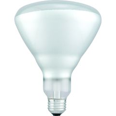 65BR/FL/RP 120V