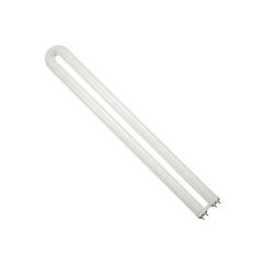 FB31T8/850 Bulb Cs/15