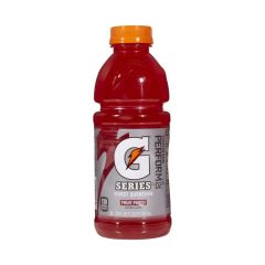 Gatorade Fruit Punch 20oz Cs/24