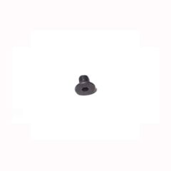Replacement Screw for Protector Each