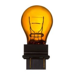 Mini Bulbs Box/10