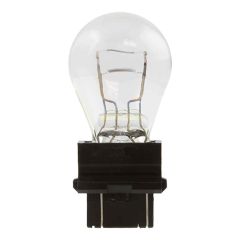 Mini Bulbs Box/10